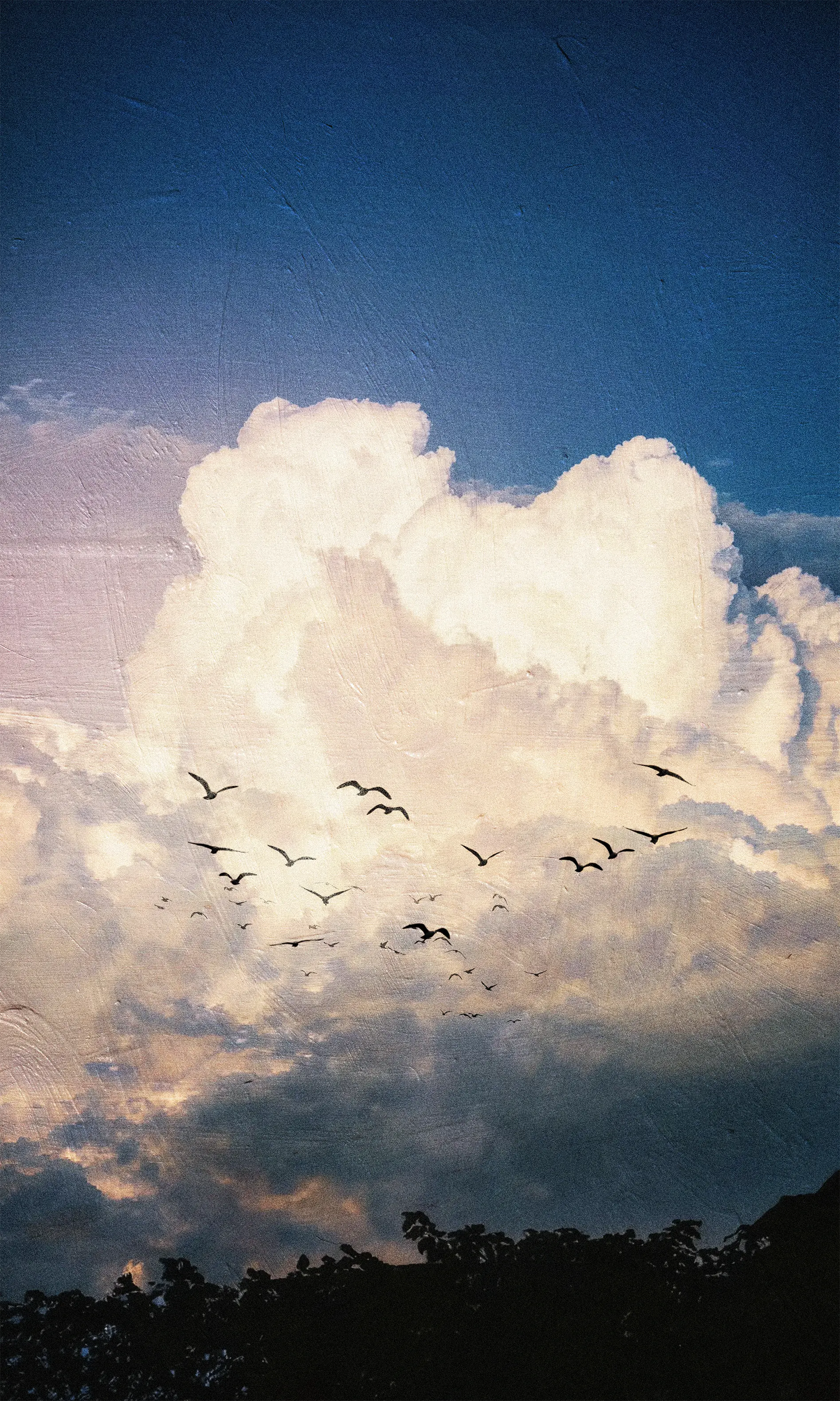 Motion